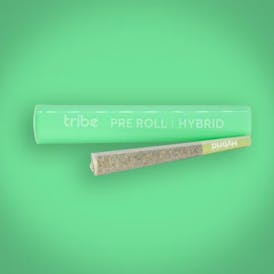 Triple Banana - Hybrid - Flower Pre Roll - 1g