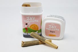 Jaywalkers Original - Sativa - Frosted Apple - 11 pack - Flower Pre Rolls - 4.4g