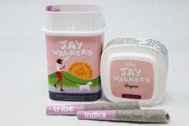 Jaywalkers Original - Indica - Pure Ice Cream - 11 pack - Full Flower Pre Rolls - 4.4g