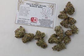 7 Leaf Rice Krispy Treats Select Tier Flower - Sativa 3.5g