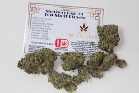DC Sherbert GMO Top Shelf Flower - Indica 3.5g