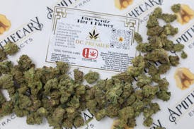 DC Blue Nerdz Tier 1 Flower - Sativa 14g
