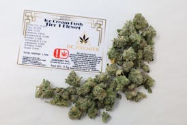 DC Ice Cream Kush Tier 1 Flower - I 3.5g