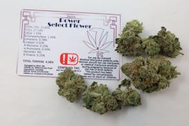 7 Leaf Power Select Tier Flower - Sativa 3.5g