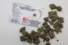 DC Bleu Cherry Gelato Tier 1 Flower - Indica 14g