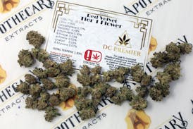 DC Red Velvet Tier 1 Flower - Indica 14g