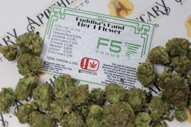 F5 Buddha's Hand Tier 1 Flower - Hybrid 3.5g