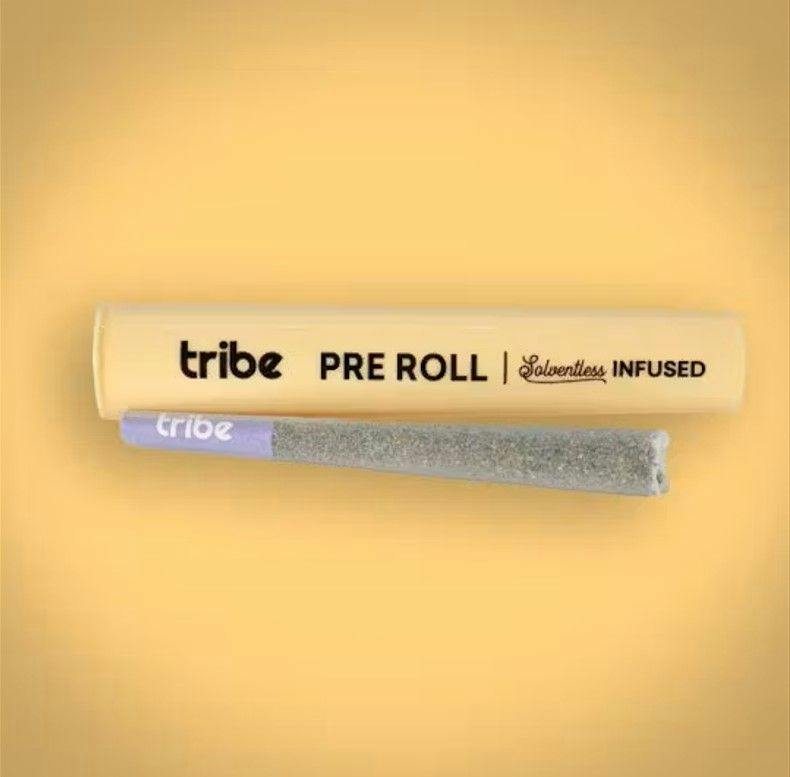 Sour Truffle Solventless