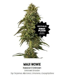 F5 Maui Wowie Tier 1 Flower - Sativa 3.5g