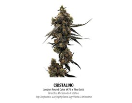 F5 Cristalino Tier 1 Flower - Hybrid 3.5g