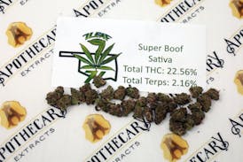 7 Leaf Super Boof Tier 1 Flower - Sativa 14g