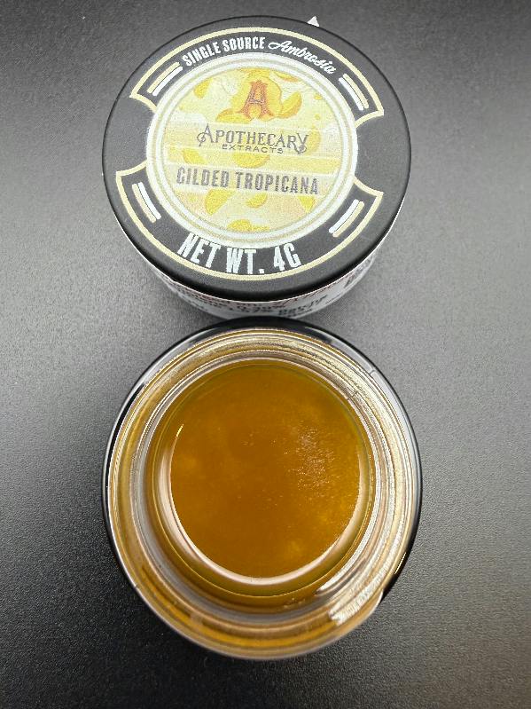 Gilded Tropicana Ambrosia