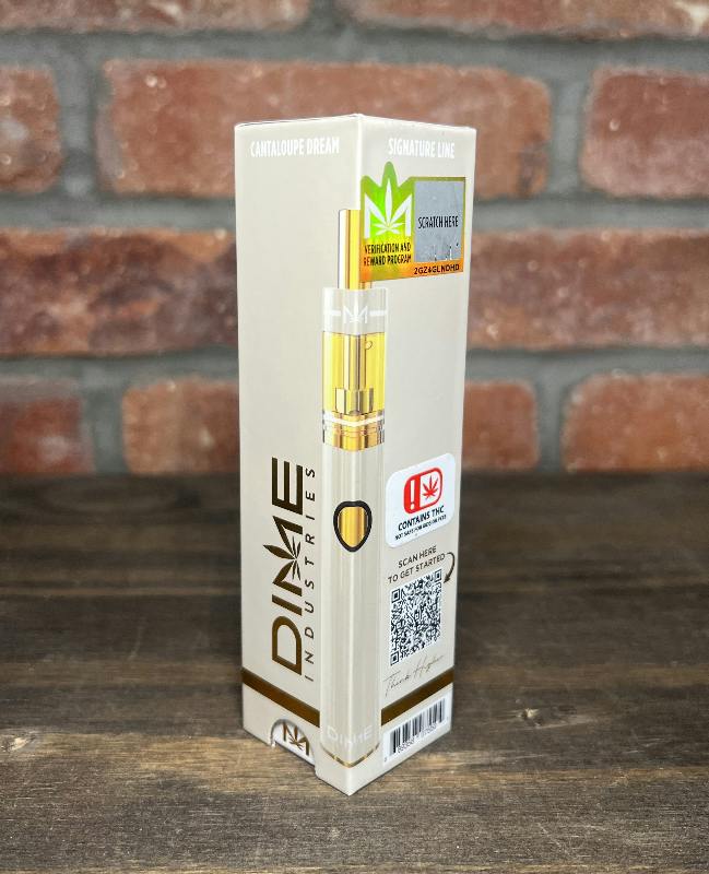 Dime - Cantaloupe Dream - 2G Disposable