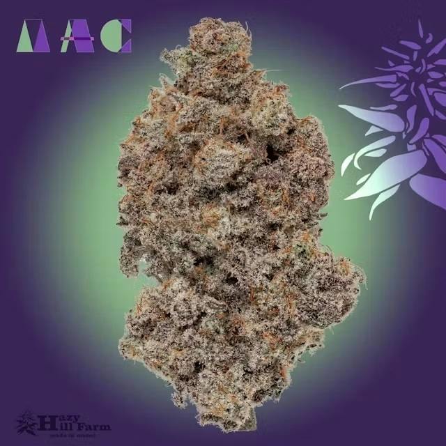 Hazy Hill Mac
