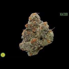 Firefly | Macrib Flower