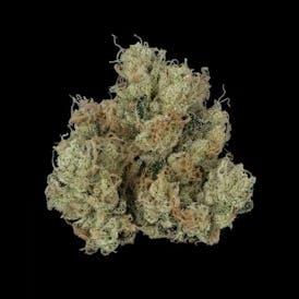Firefly | TKO Flower