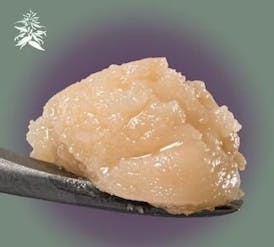 Hazy Hill | Headband Cold Cure Live Rosin