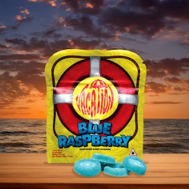 Vacation | Blue Raspberry Hash Rosin Gummies