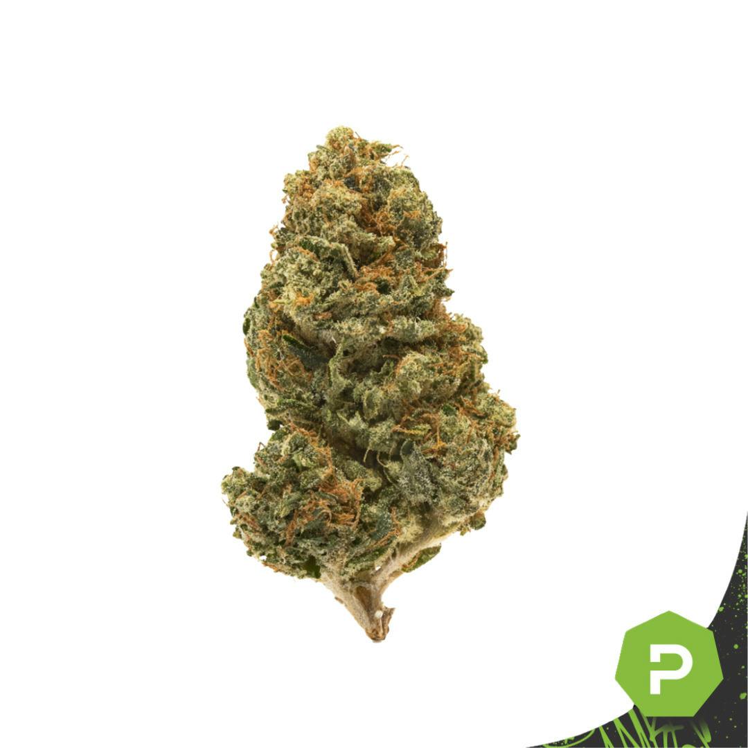 Bowtique | Platinum Lemon Cherry