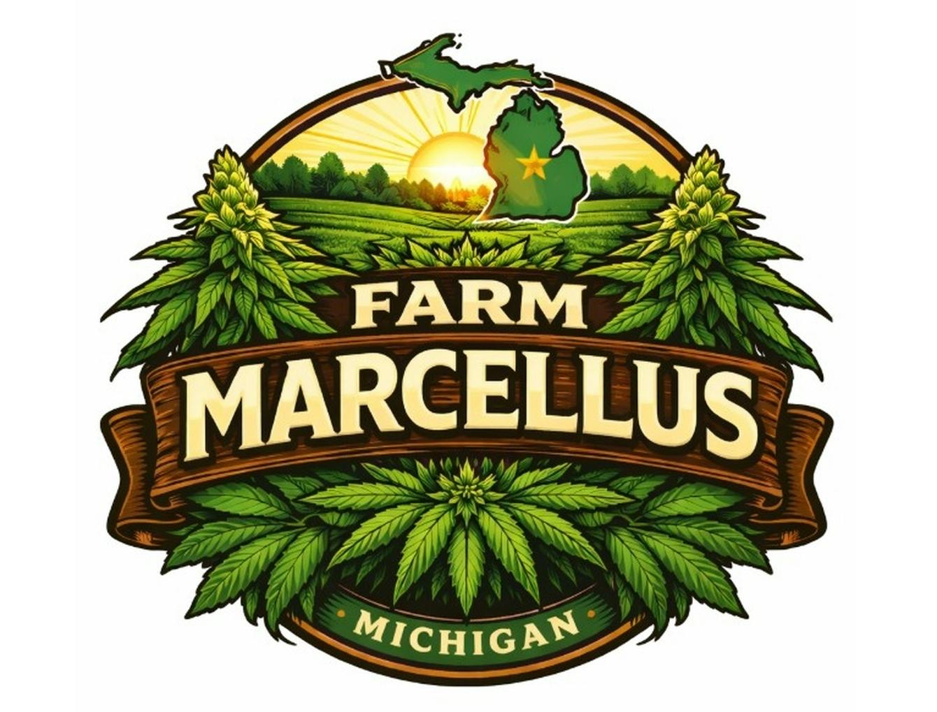 Farm Marcellus | Gelato 41 x Donnie Burger at PUFF Cannabis Company - Traverse City