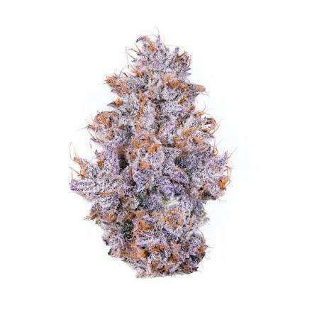 Biskante Flower