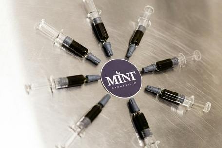 Mint - RSO 1ml Syringe