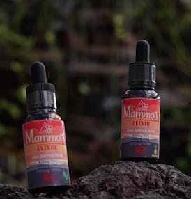 Mammoth - Sugar Biscuit - 880.50mg ELIXIR THC (Indica)