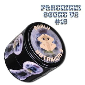 Burly Botanicals - Paw Paw #31 1G Live Rosin Badder