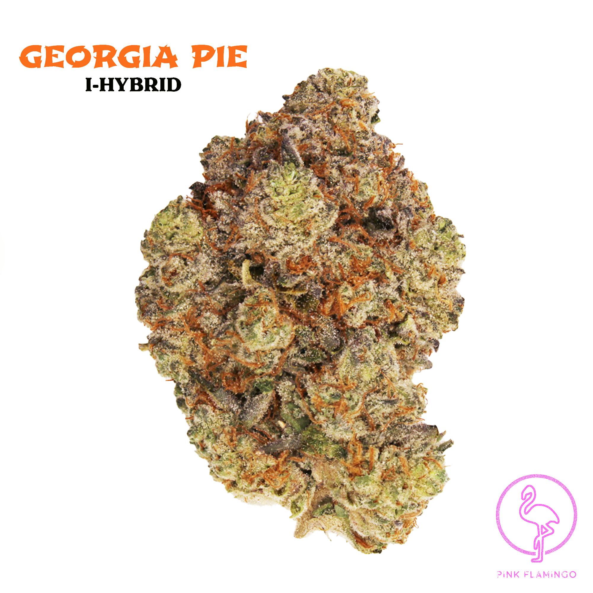 Georgia Pie 3.5 Grams - P.F.