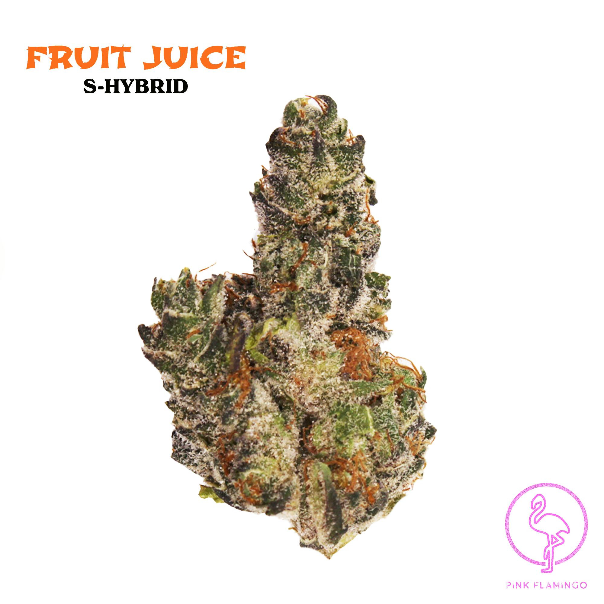 Fruit Juice 3.5 Grams - P.F.