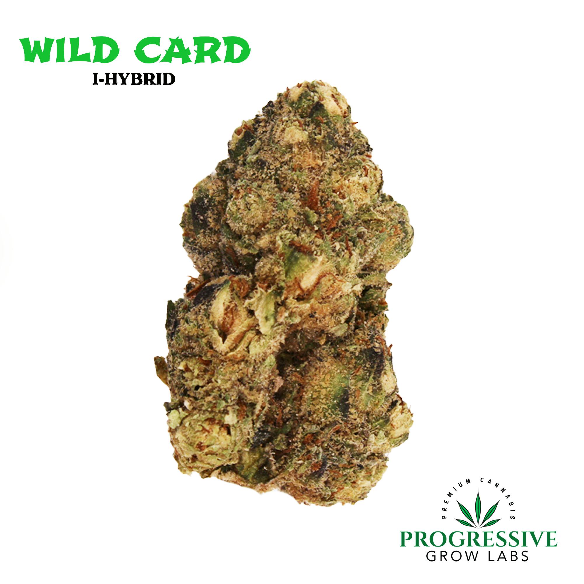 Wildcard Pgl