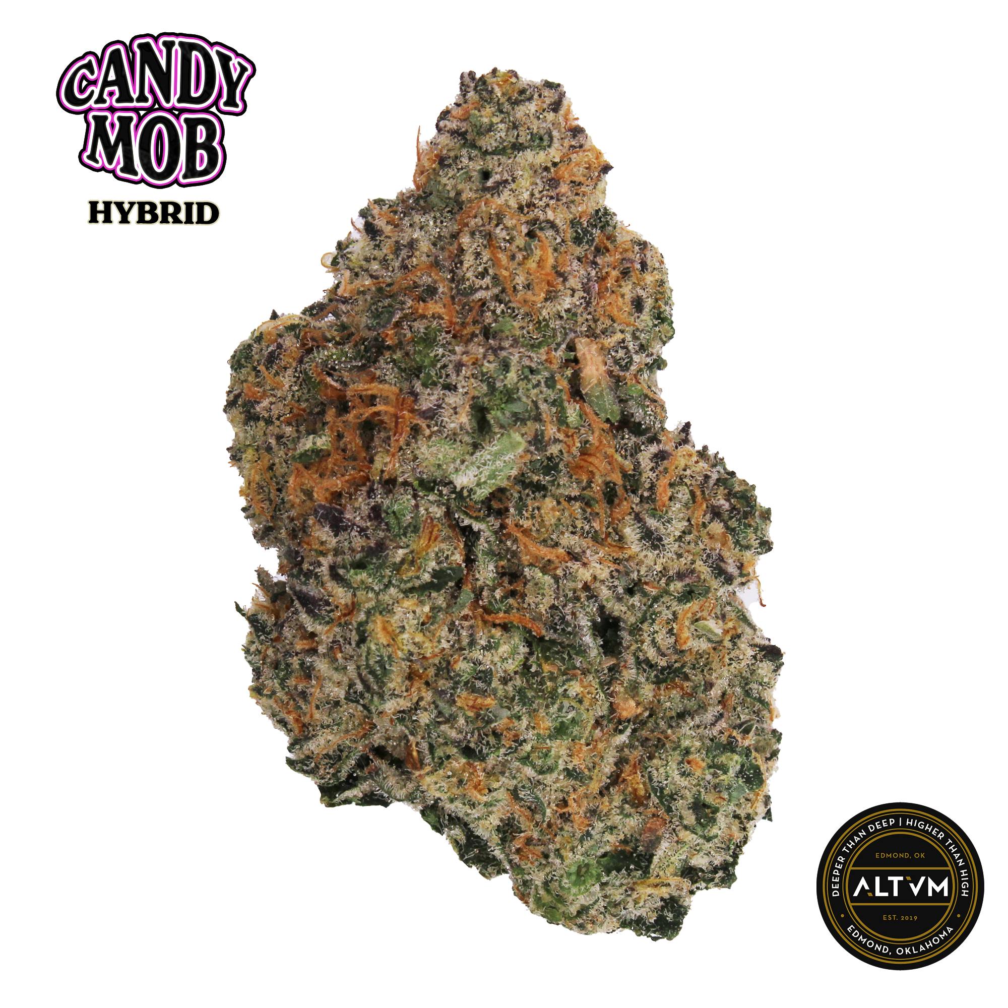 ALTVM | Candy Mob | Flower | 3.5g by ALTVM