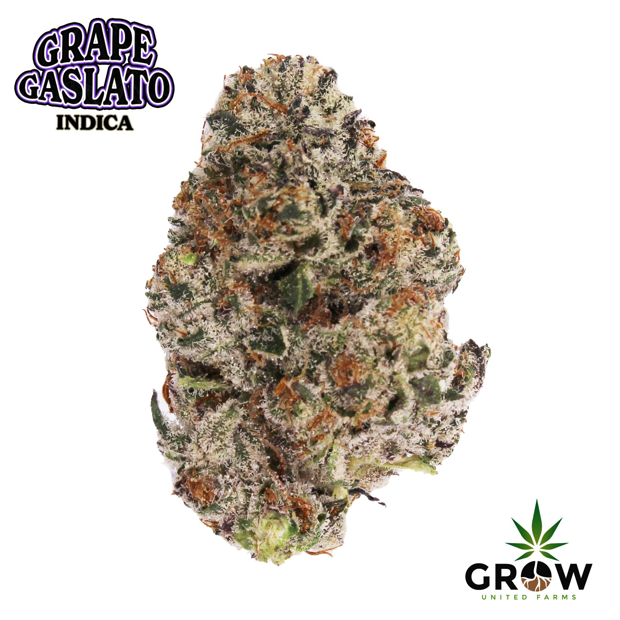 Grape Gaslato