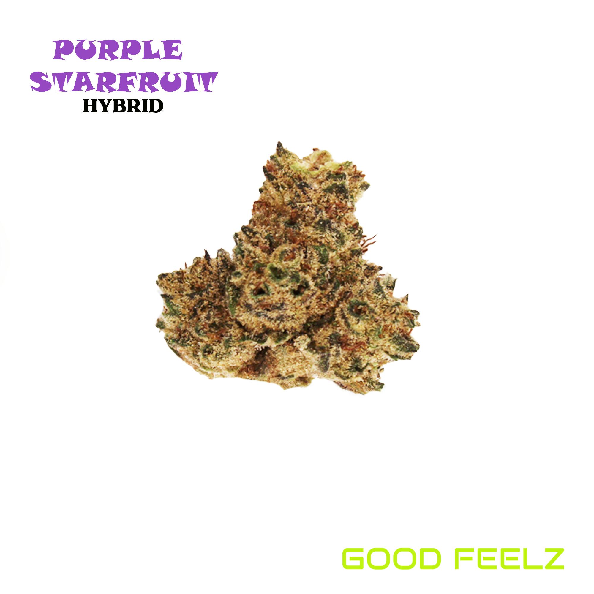 Purple Starfruit Gf