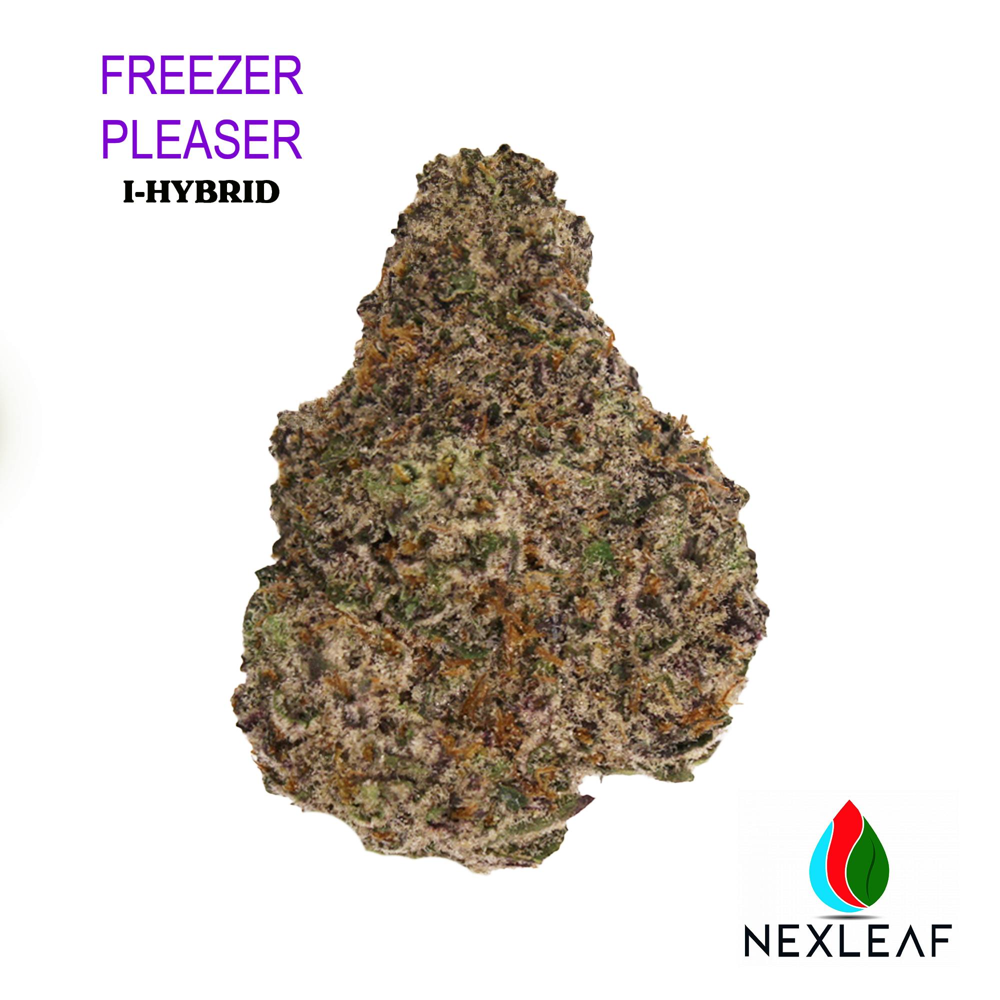Freezer Pleaser 3.5 Grams - N.L.