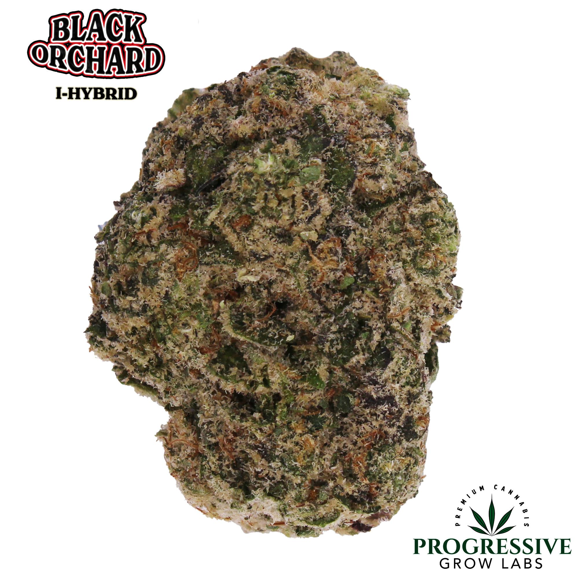 Black Orchard 3.5 Grams - P.G.L.