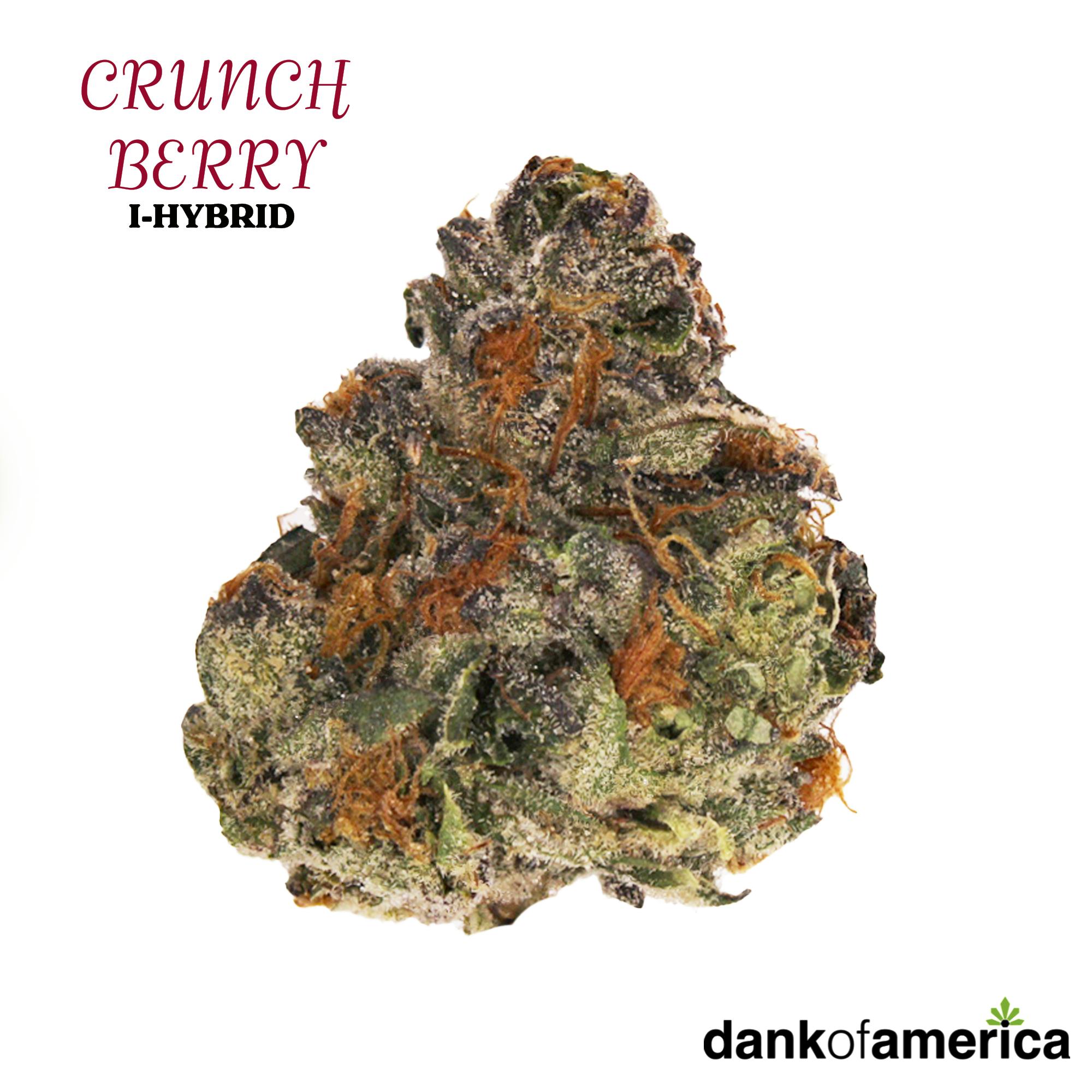 Crunch Berry 3.5G - D.O.A.
