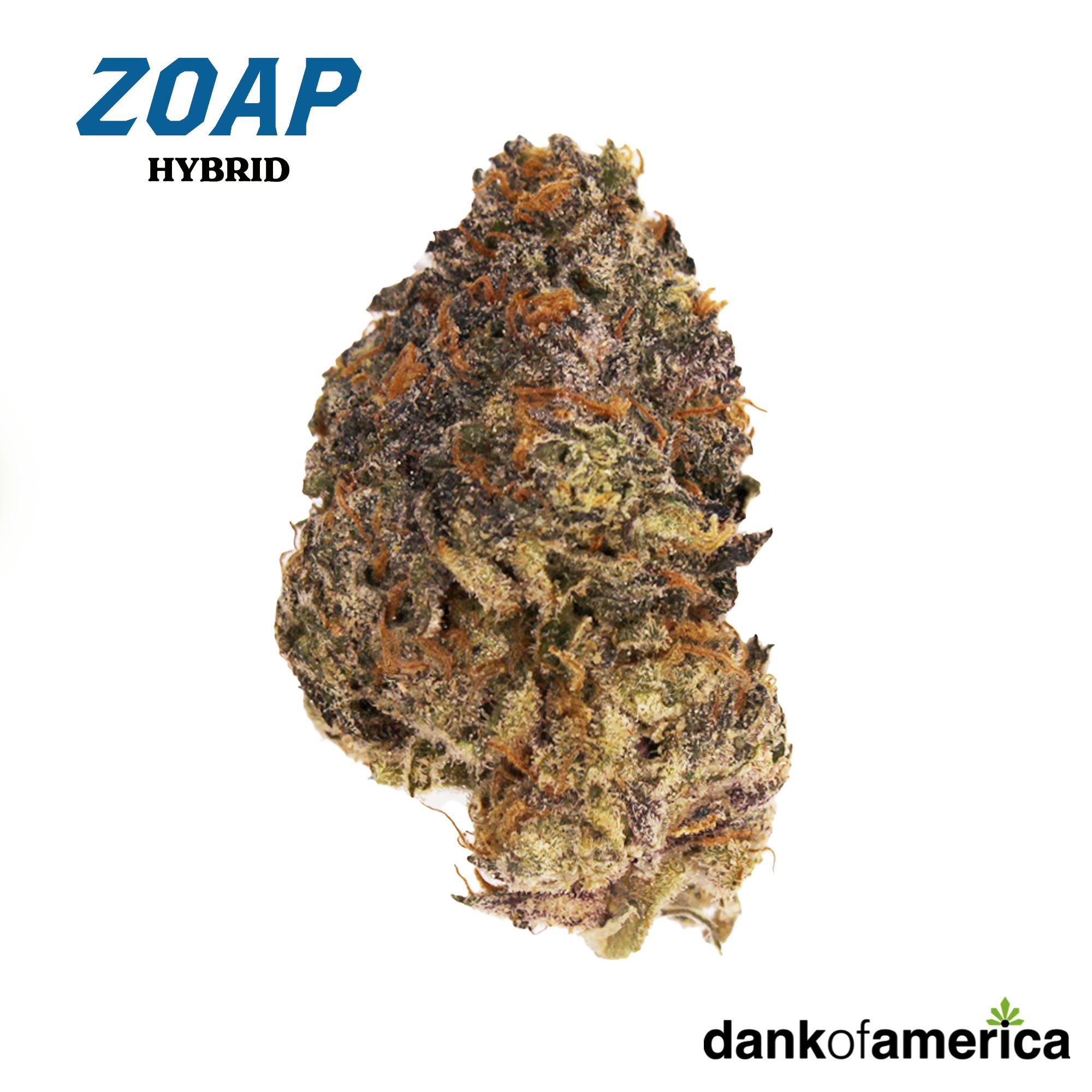 Zoap 3.5 Grams - D.O.A.
