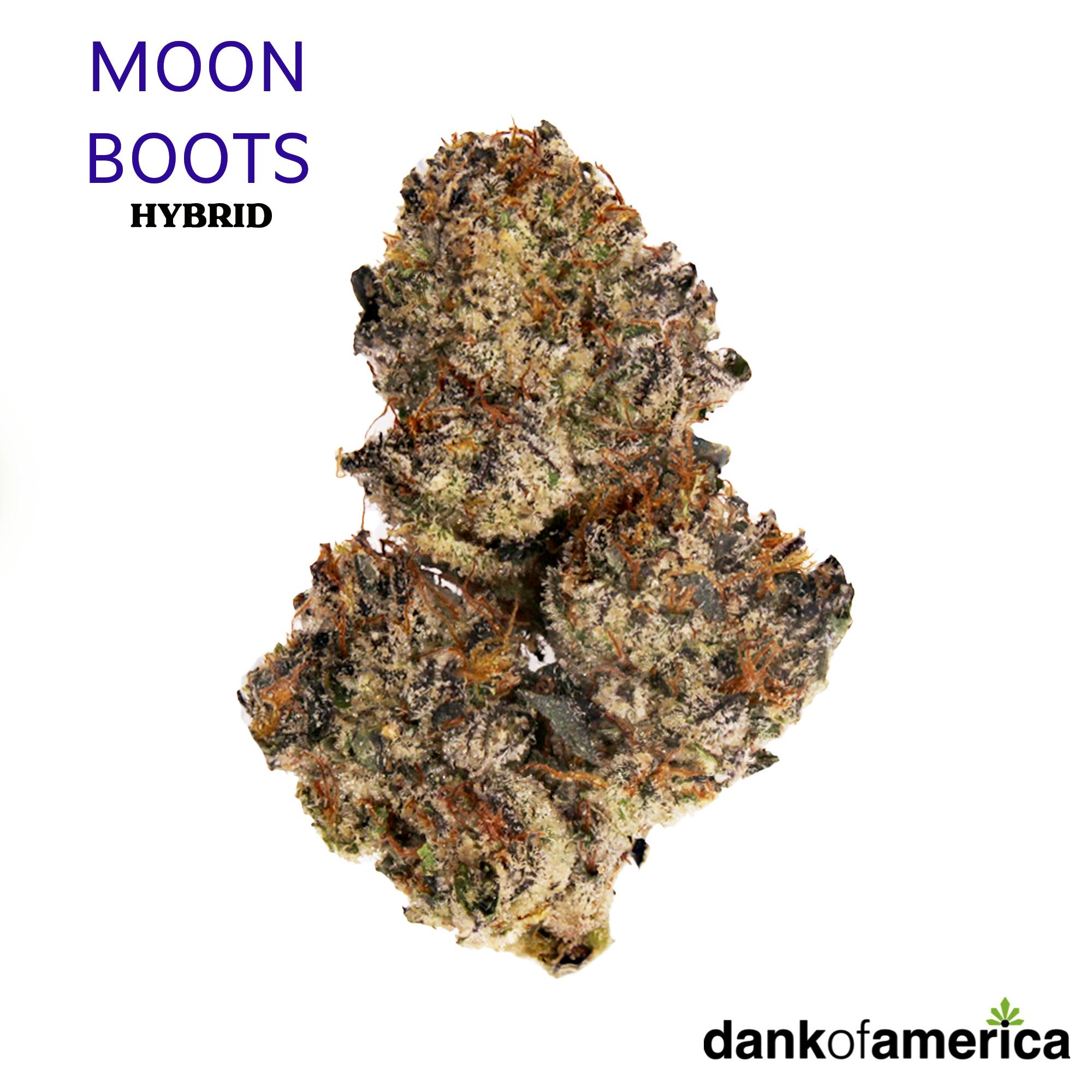 Moon Boots Doa