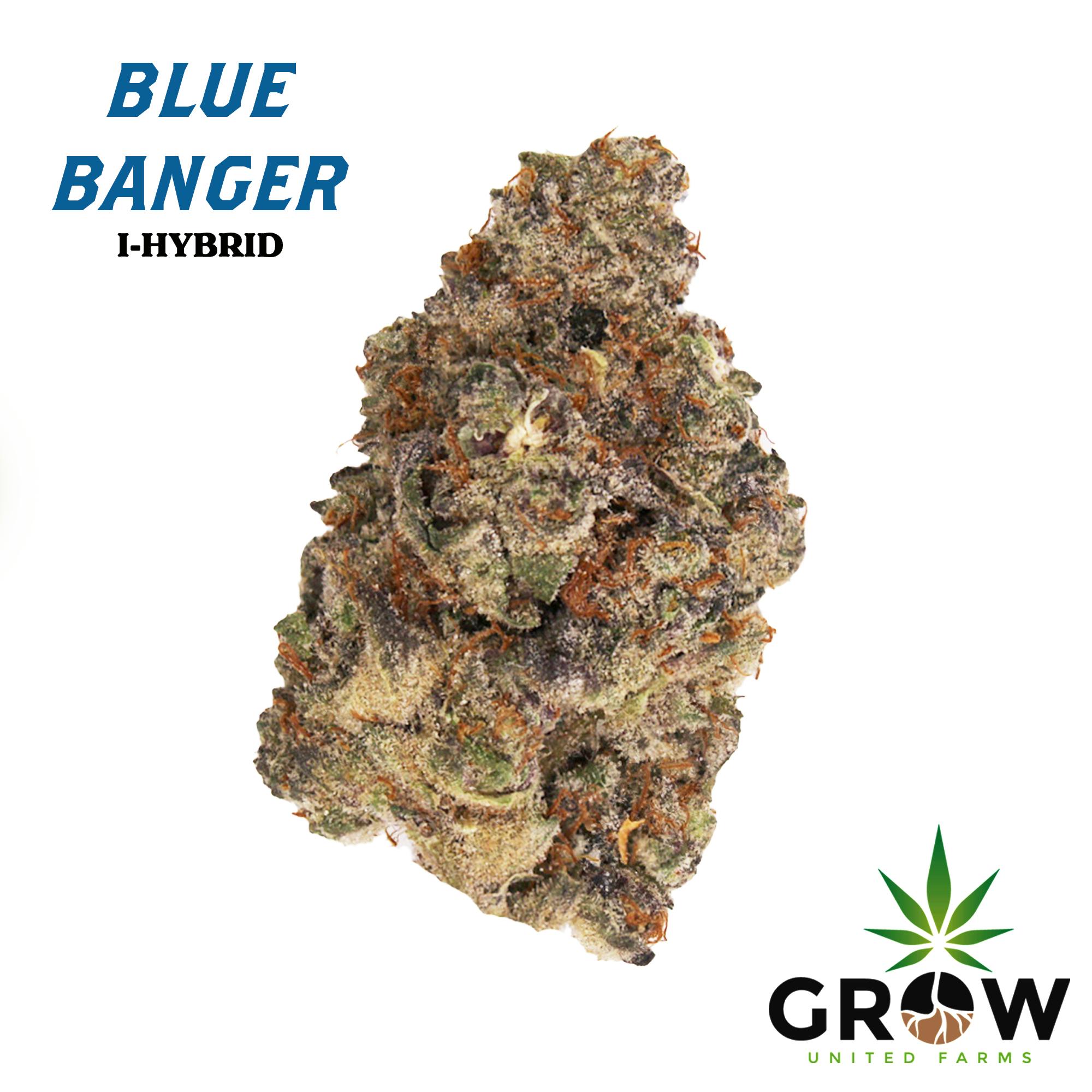Blue Banger 3.5g - (G.U.F.)