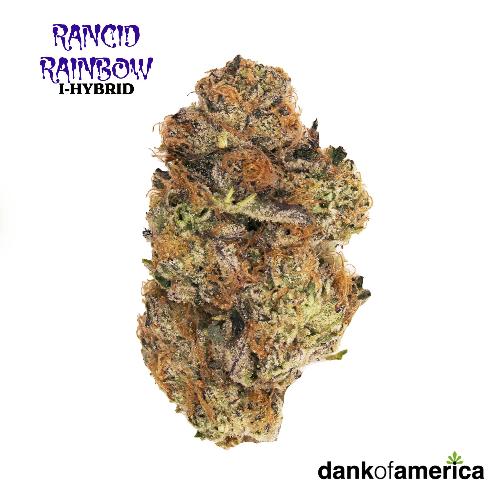 Rancid Rainbow 3.5 Grams - D.O.A