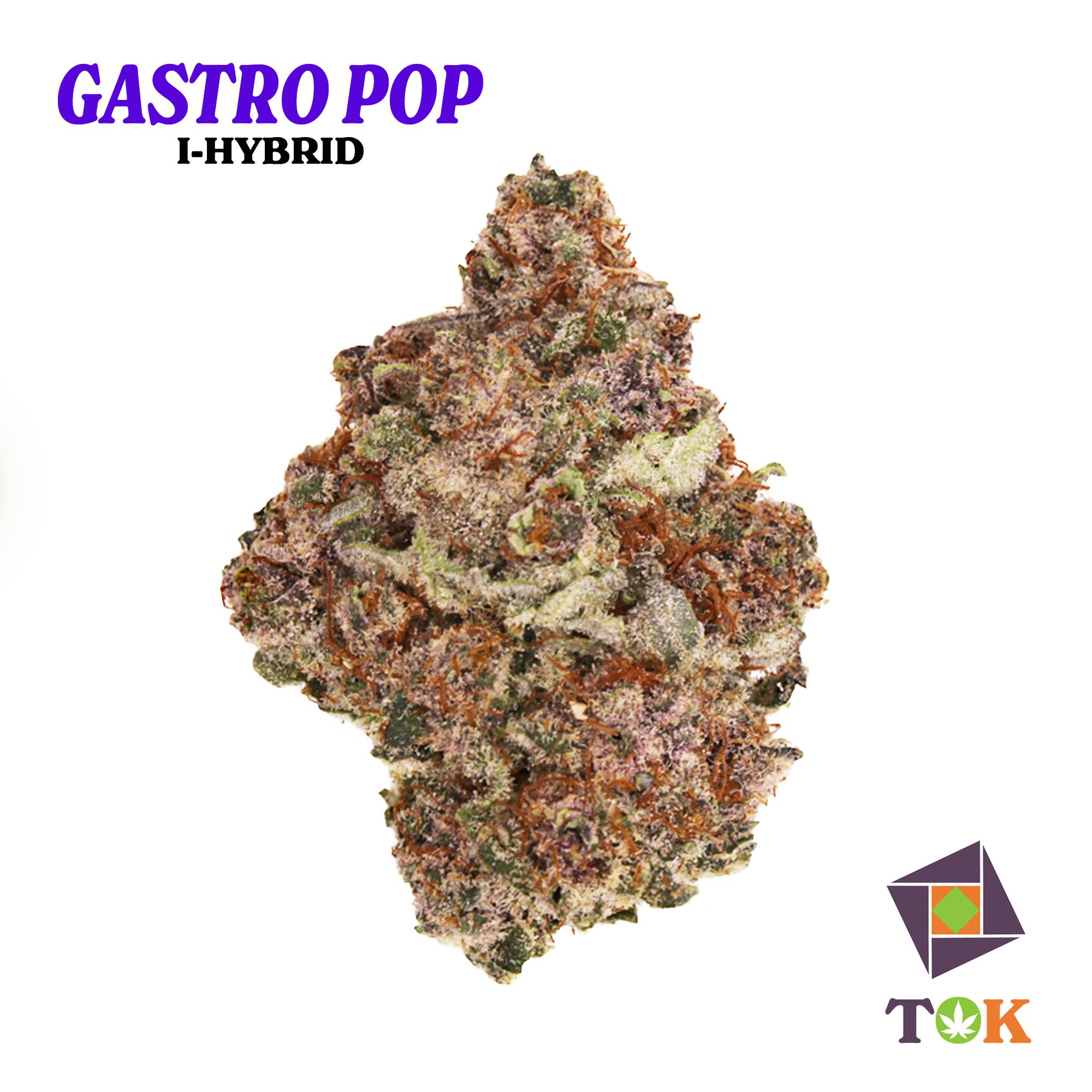 Gastro Pop 14 Grams Big Buds - T.O.K.