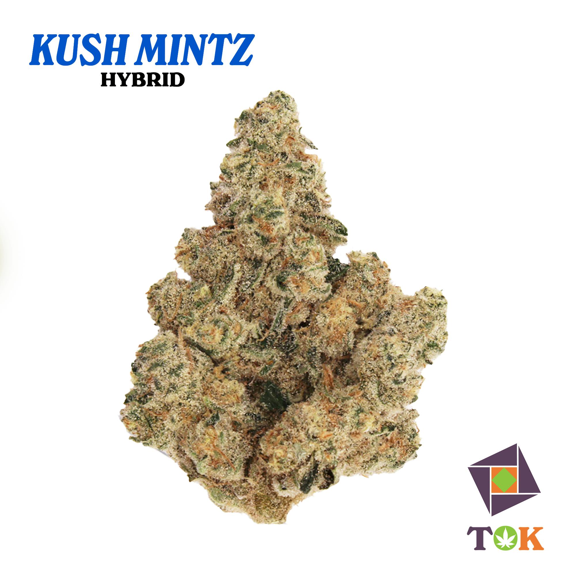 Kush Mintz 14 Grams Big Buds - (T.O.K.)