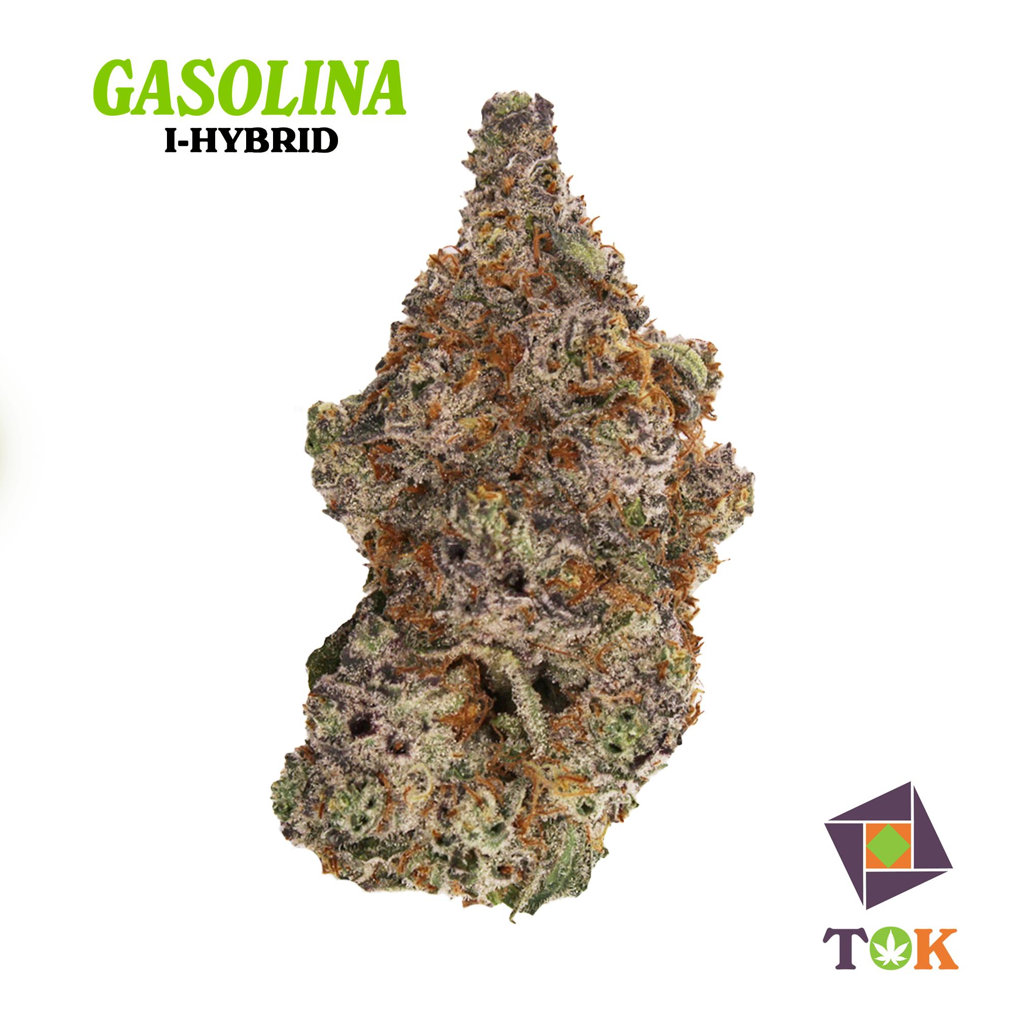 Gasolina 14 Grams Big Buds - T.O.K.