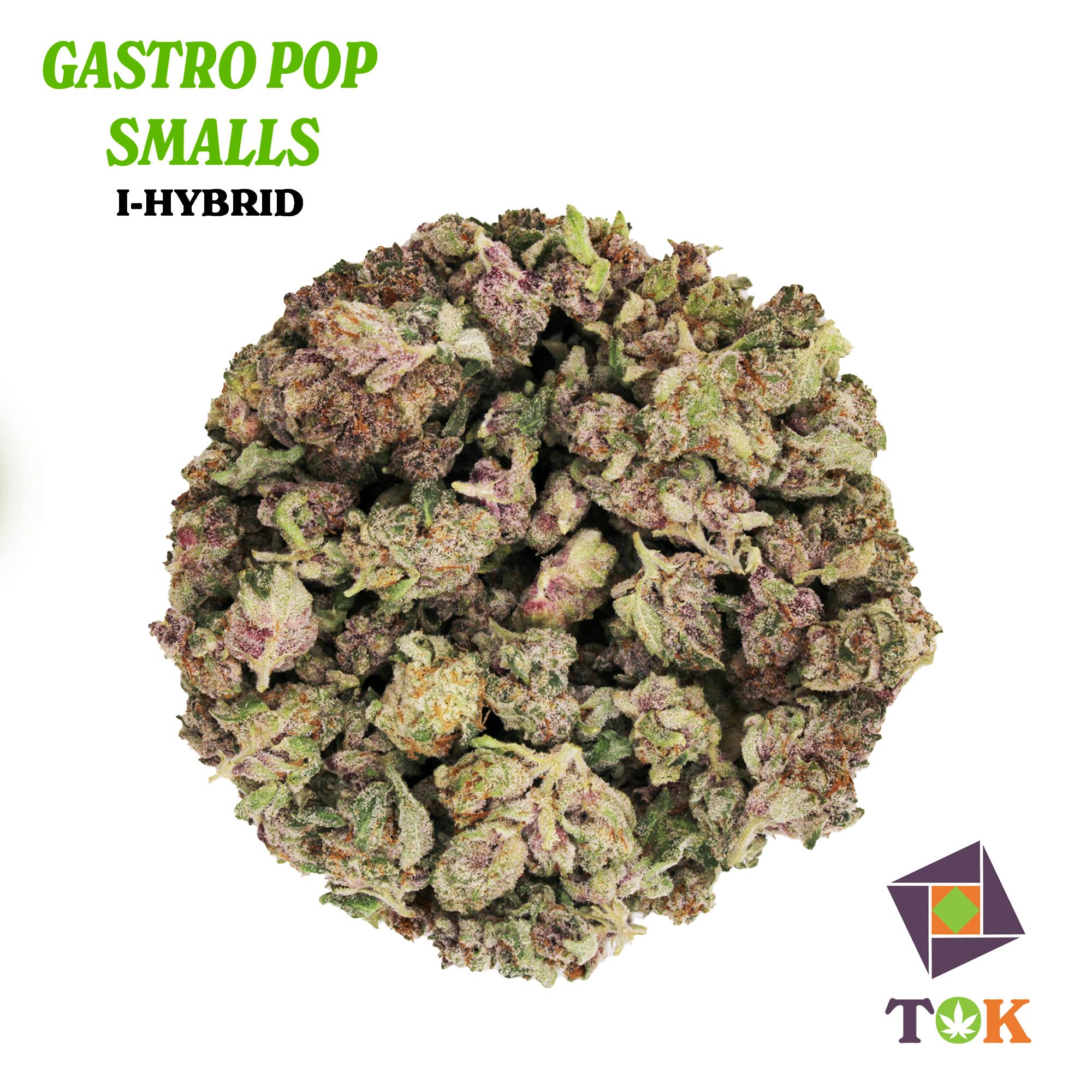 Gastro Pop 14 Grams Small Buds - T.O.K.