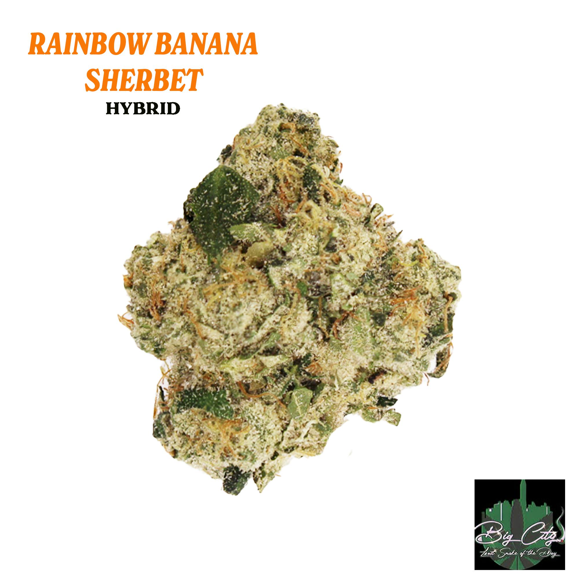 Rainbow Banana Sherbert Bcg