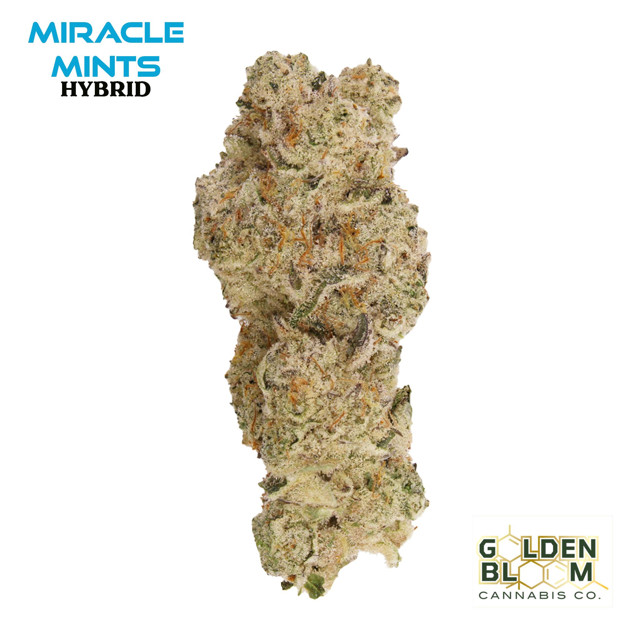 Miracle Mintz 3.5 Grams - G.B.F.