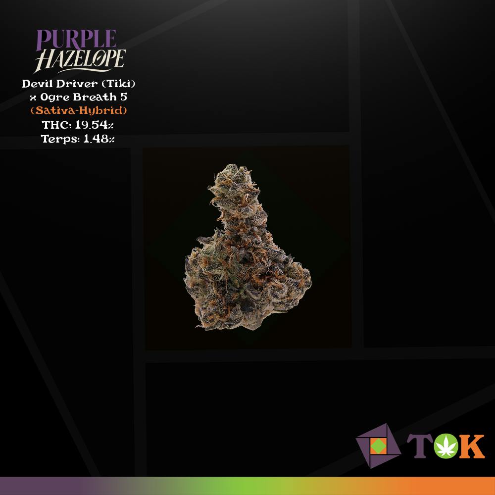 Purple Hazelope Small Buds Tok