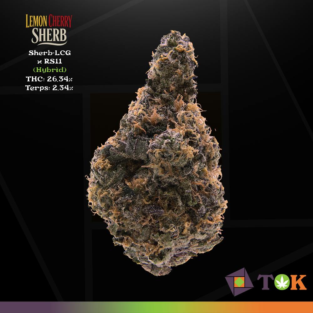 Lemon Cherry Sherb 7 Grams Big Buds - T.O.K