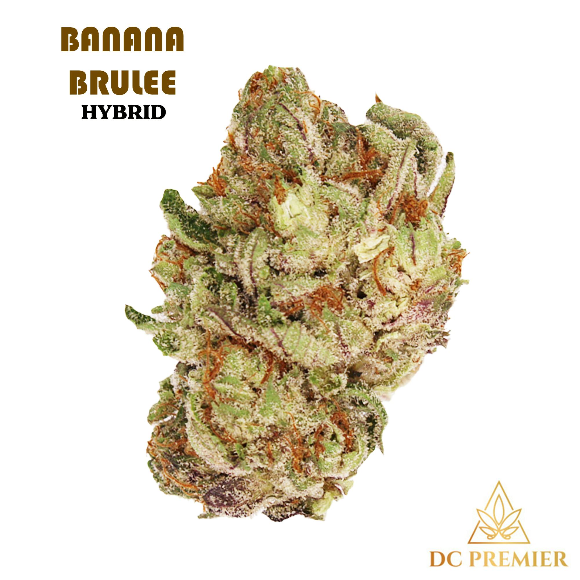 Banana Brulee 3.5 Grams - D.C.P.